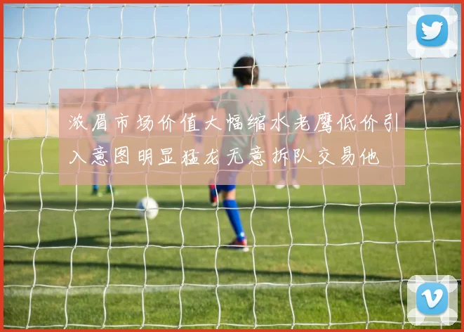 浓眉市场价值大幅缩水老鹰低价引入意图明显猛龙无意拆队交易他