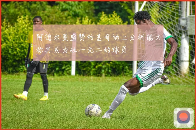 阿德尔曼盛赞约基奇场上分析能力称其或为独一无二的球员